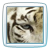 63lord :icon63lord: