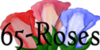 65-Roses's avatar