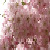 7targus :icon7targus: