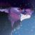 86-shadesofblue :icon86-shadesofblue: