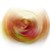A-Magic-Sandwhich :icona-magic-sandwhich: