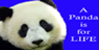 A-PANDA-IS-FOR-LIFE's avatar