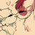aalykae :iconaalykae: