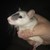 AbbySeesBeauty :iconabbyseesbeauty: