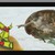 abloodbrother :iconabloodbrother: