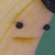 absolutelyNFA :iconabsolutelynfa: