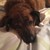 abstintiz :iconabstintiz: