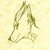 AceFirepaw :iconacefirepaw:
