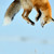 AcidAir03 :iconacidair03: