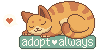 adopt-always's avatar