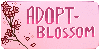 Adopt-Blossom's avatar