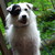 adruna-naoka1 :iconadruna-naoka1: