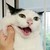 aeccna :iconaeccna: