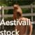 :iconaestivall-stock: