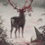 Aex-Photography :iconaex-photography: