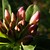 AFischersPhotos :iconafischersphotos: