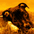DeviantArt profile picture for @aid on DeviantArt