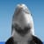 AislinNora :iconaislinnora: