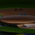 Aivaylas :iconaivaylas: