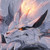 Ajf115 :iconajf115: