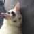alan124421 :iconalan124421: