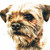alanwhereareyou :iconalanwhereareyou: