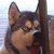ALAYER :iconalayer: