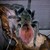 Alb87 :iconalb87: