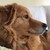 Alegragrace :iconalegragrace: