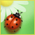 alena-light :iconalena-light: