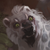 Aleterne :iconaleterne: