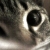 :iconalexandruana: