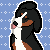 alexwolflover777 :iconalexwolflover777: