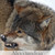 Alexxaandraa :iconalexxaandraa: