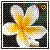 Alice41 :iconalice41: