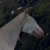 AliciaTheSapphireOgM :iconaliciathesapphireogm: