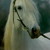 Alina4 :iconalina4: