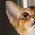AlinaSimple :iconalinasimple: