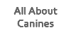 All-About-Canines's avatar