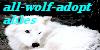 all-wolf-adoptables's avatar