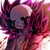 Alpha-Wolf-Delta :iconalpha-wolf-delta: