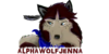 AlphawolfjennafansXD's avatar