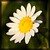 alwaysmood :iconalwaysmood: