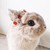 AlyaArtGallery :iconalyaartgallery:
