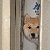 AMasterIsOut :iconamasterisout: