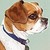 Ambrosiak :iconambrosiak: