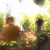 AMDG-graphics :iconamdg-graphics: