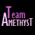 :iconamethyst-team: