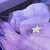 :iconamethystdragonmagic: