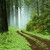 AmyofLove :iconamyoflove: